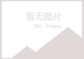 东山县凌珍能源有限公司